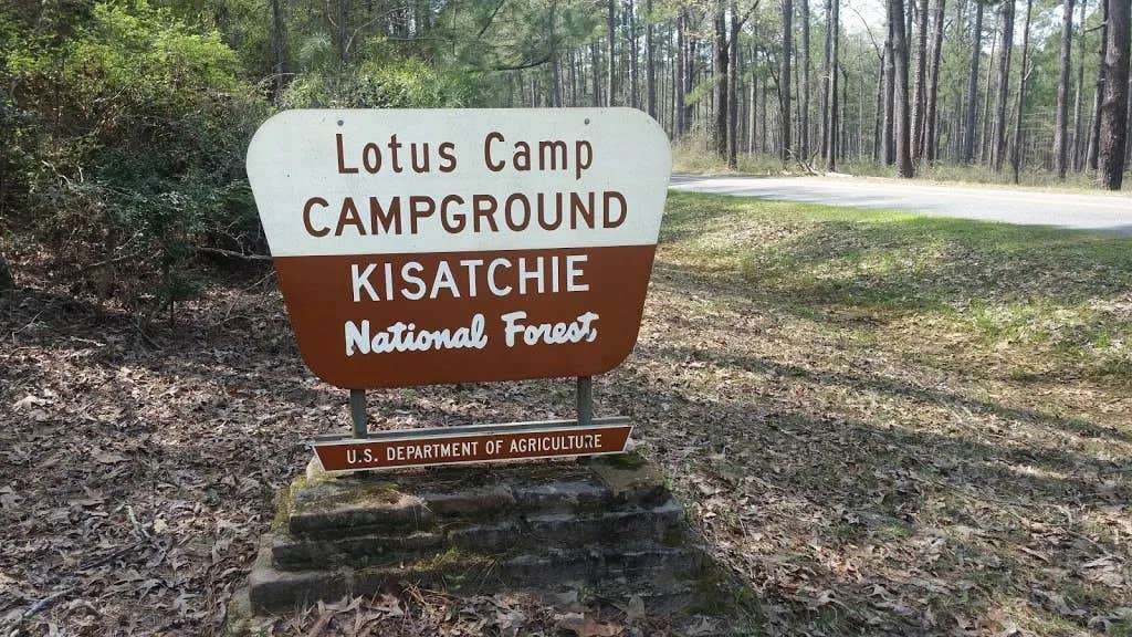 Camper submitted image from Lotus Camp - 2