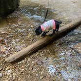 Review photo of Hocking Hills State Park Campground by Candace  H., November 8, 2021