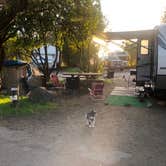 Review photo of Wright's Beach Campground — Sonoma Coast State Park by Travis C., November 8, 2021