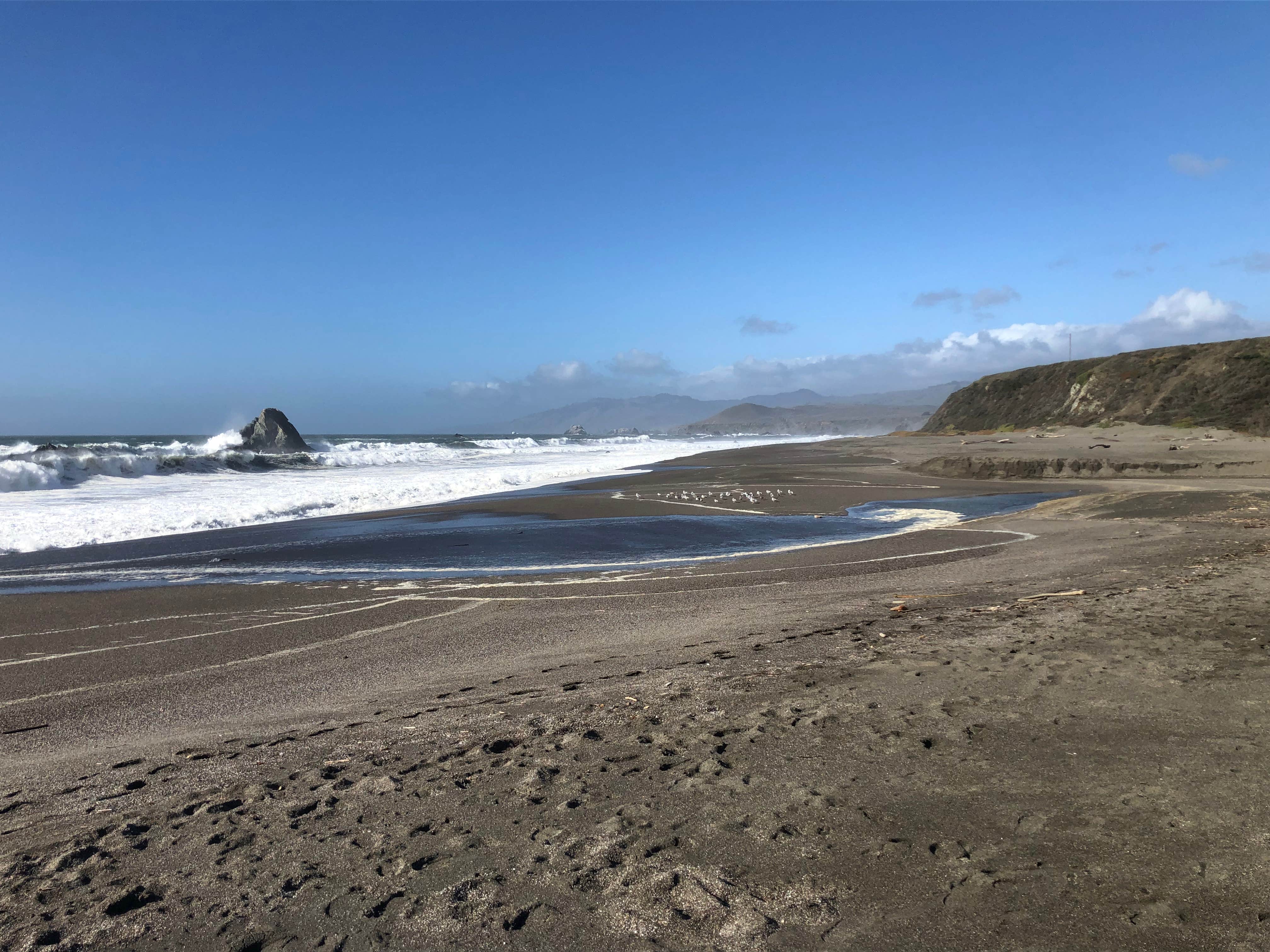 Wright S Beach Campground The Dyrt