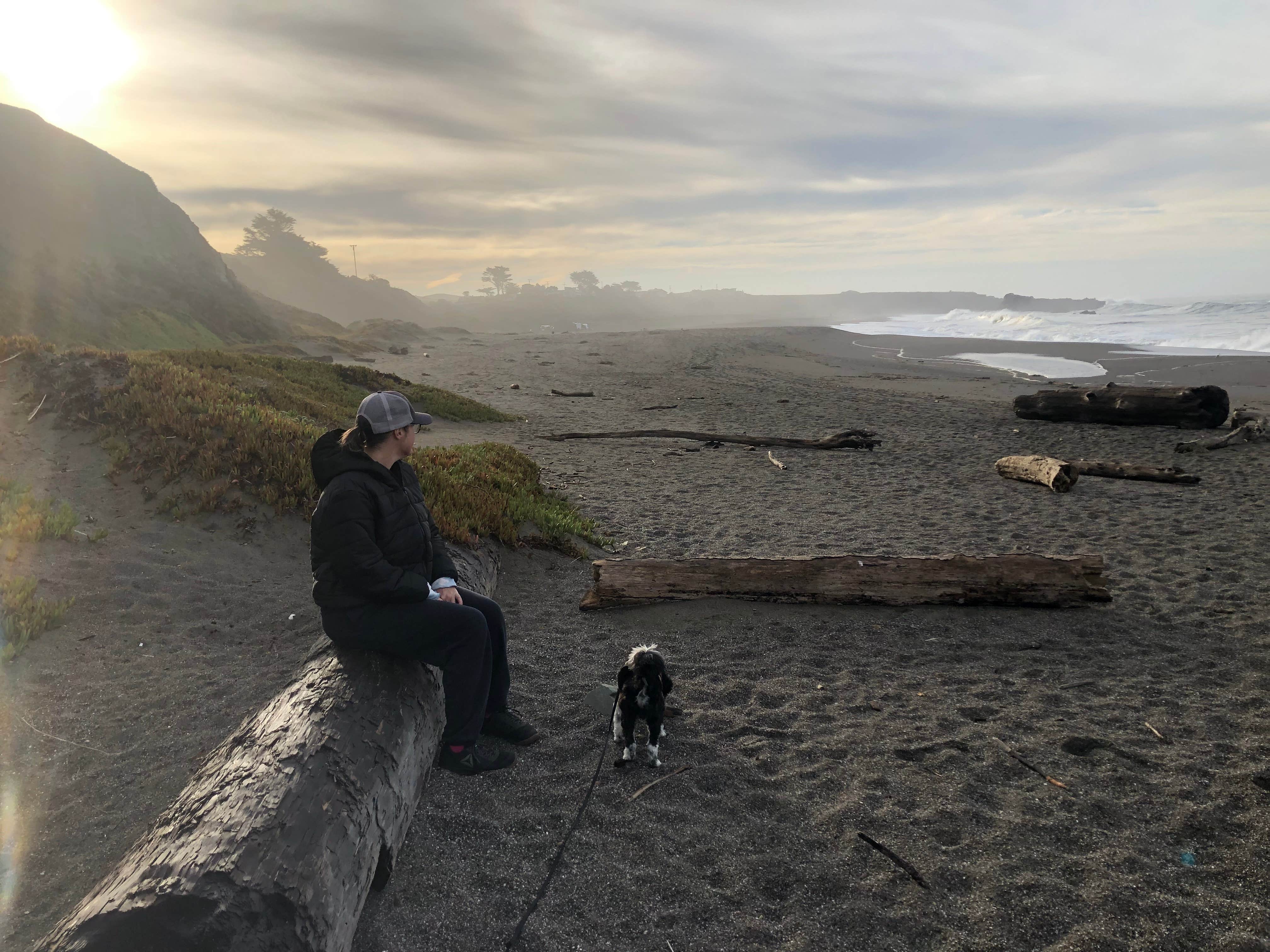 Travis C.'s photo of camping with pets at Wright's Beach Campground — Sonoma Coast State Park near Fulton, CA