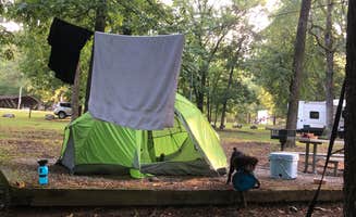 Nancy W.'s photo at Crystal Springs (AR) in Arkansas