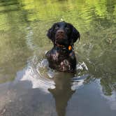 Review photo of COE Lake Ouachita Crystal Springs Campground by Nancy W., July 6, 2018