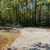 Review photo of Spring Creek Primitive Campground — Mousetail Landing State Park by Shana D., November 8, 2021