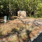 Review photo of Spring Creek Primitive Campground — Mousetail Landing State Park by Shana D., November 8, 2021