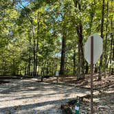 Review photo of Spring Creek Primitive Campground — Mousetail Landing State Park by Shana D., November 8, 2021