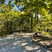 Review photo of Spring Creek Primitive Campground — Mousetail Landing State Park by Shana D., November 8, 2021