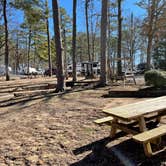 Review photo of Noccalula Falls Park & Campground - TEMPORARILY CLOSED by Shana D., November 8, 2021