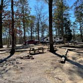 Review photo of Noccalula Falls Park & Campground - TEMPORARILY CLOSED by Shana D., November 8, 2021