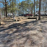 Review photo of Noccalula Falls Park & Campground - TEMPORARILY CLOSED by Shana D., November 8, 2021