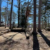 Review photo of Noccalula Falls Park & Campground - TEMPORARILY CLOSED by Shana D., November 8, 2021