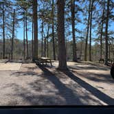 Review photo of Noccalula Falls Park & Campground - TEMPORARILY CLOSED by Shana D., November 8, 2021