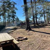 Review photo of Noccalula Falls Park & Campground - TEMPORARILY CLOSED by Shana D., November 8, 2021