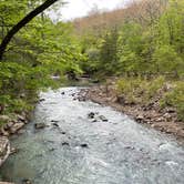 Review photo of Devil's Den State Park Campground by Shana D., November 8, 2021