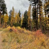 Review photo of Seeley Lake Lolo Campground (MT) — Lolo National Forest by Celine K., November 8, 2021