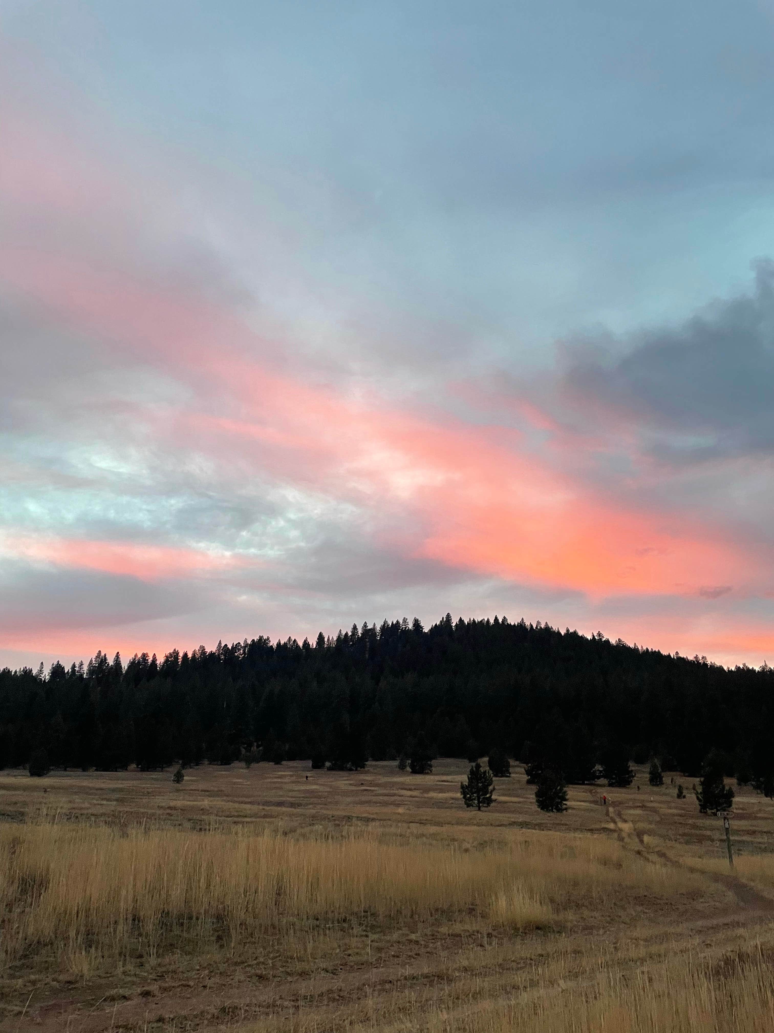 Celine K.'s photo of a dispersed camping area at Blue Mountain Forest Rd 365 - Dispersed near Missoula, MT