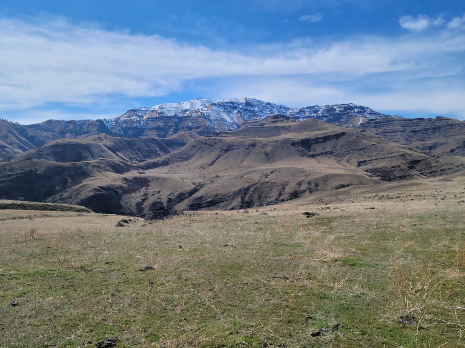 Camper submitted image from Pittsburgh Landing - Snake River - 1