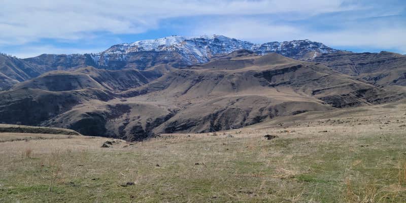 Camper submitted image from Pittsburgh Landing - Snake River