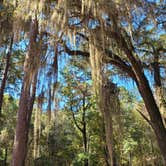 Review photo of High Bluff - Joe Budd WMA and Lake Talquin State Forest by Joey S., November 8, 2021