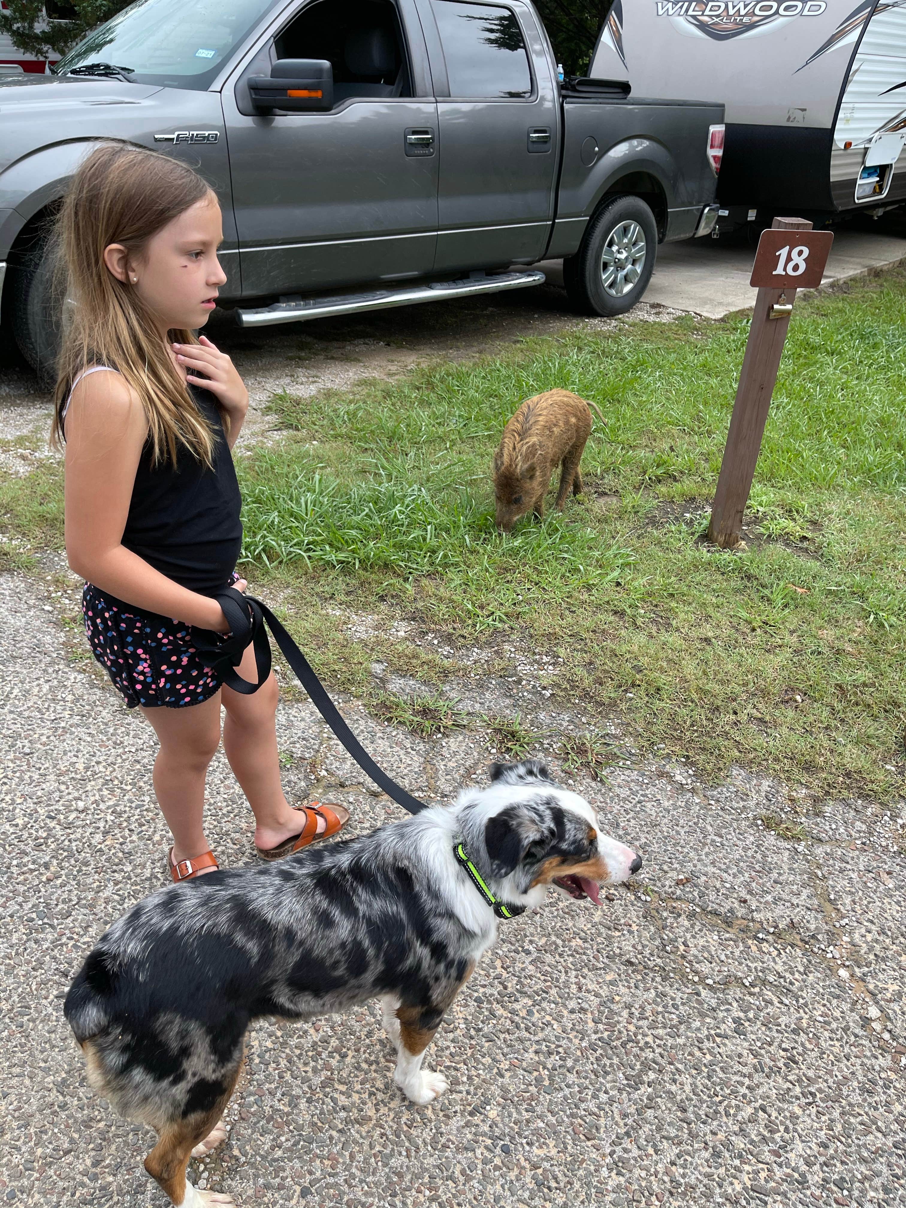 Camper-submitted photo at Rock Tower — Lake Murray State Park near Marietta, OK