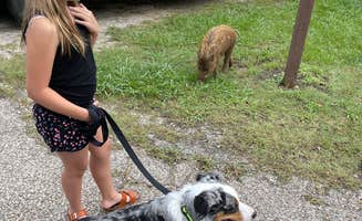 Erin M.'s photo of camping with pets at Rock Tower — Lake Murray State Park near Sulphur, OK