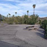 Review photo of Callville Bay NPS Campground by Greg L., November 8, 2021