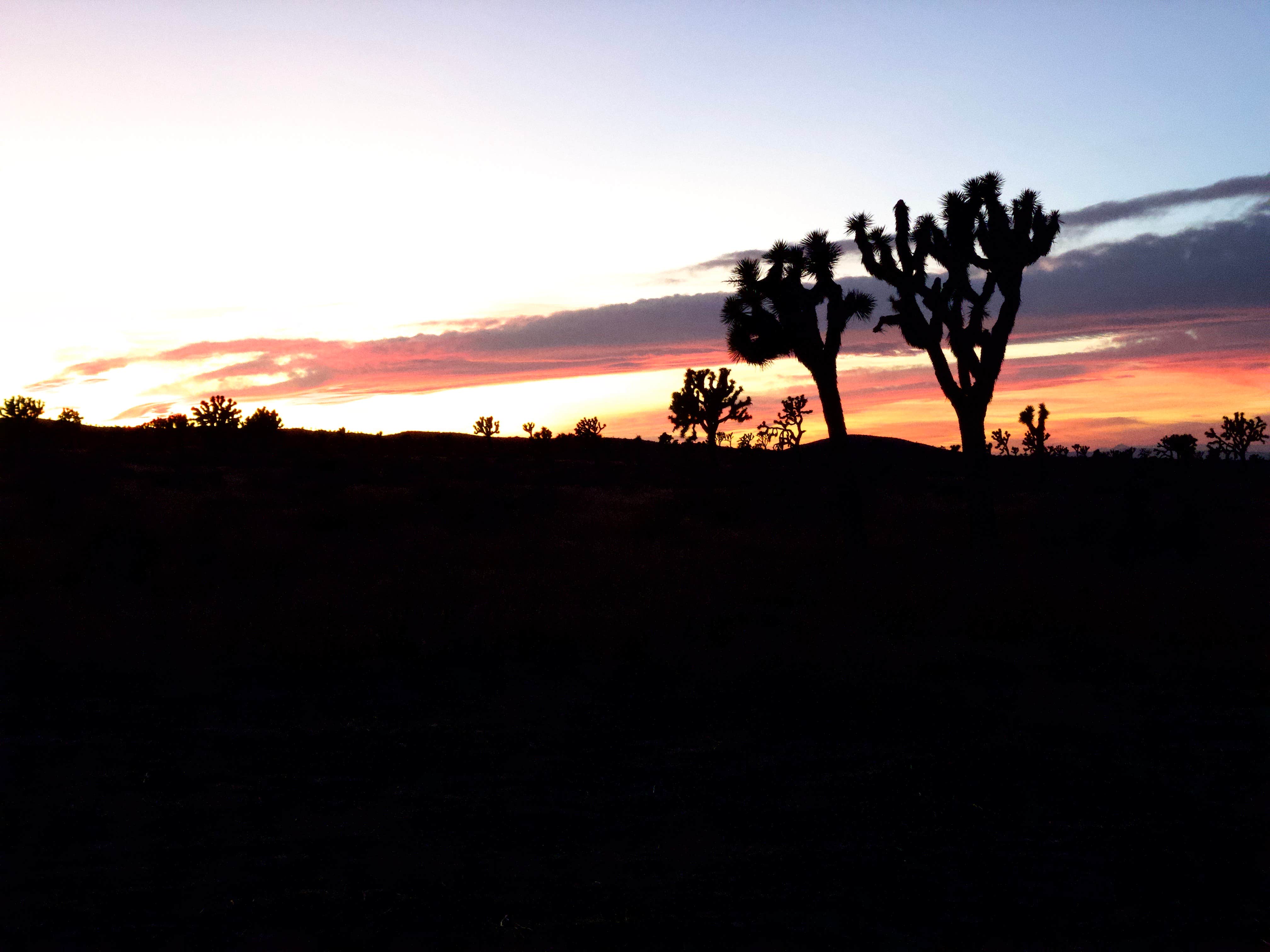 Mark W.'s photo of a dispersed camping area at BLM Barstow - Dispersed Camp Area near Red Mountain, CA
