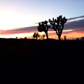 Review photo of BLM Barstow - Dispersed Camp Area by Mark W., November 8, 2021