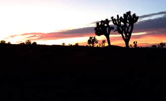 Mark W.'s photo of a dispersed camping area at BLM Barstow - Dispersed Camp Area near Yermo, CA