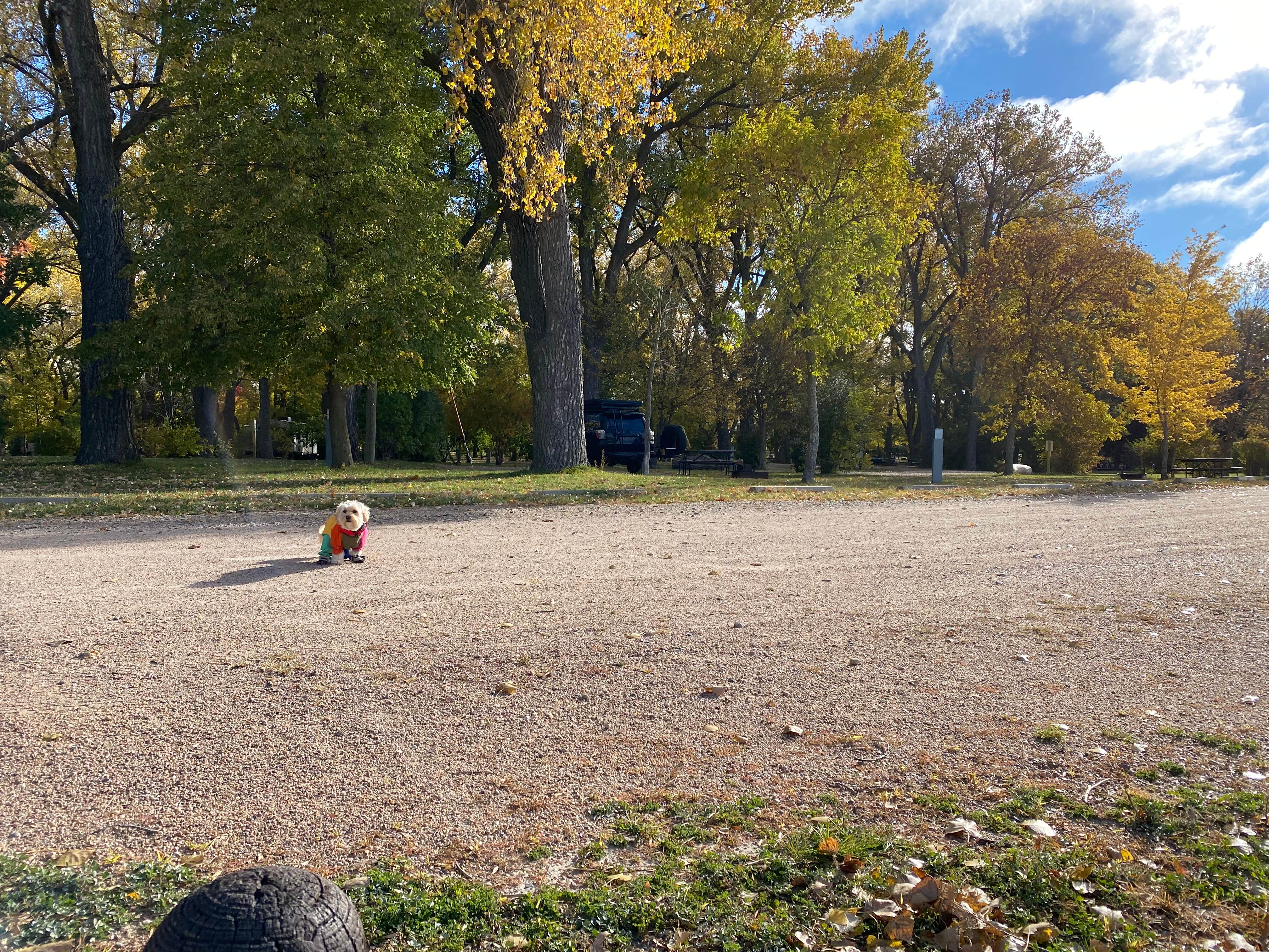 Camper-submitted photo at Main Area Campground near Elwood, NE