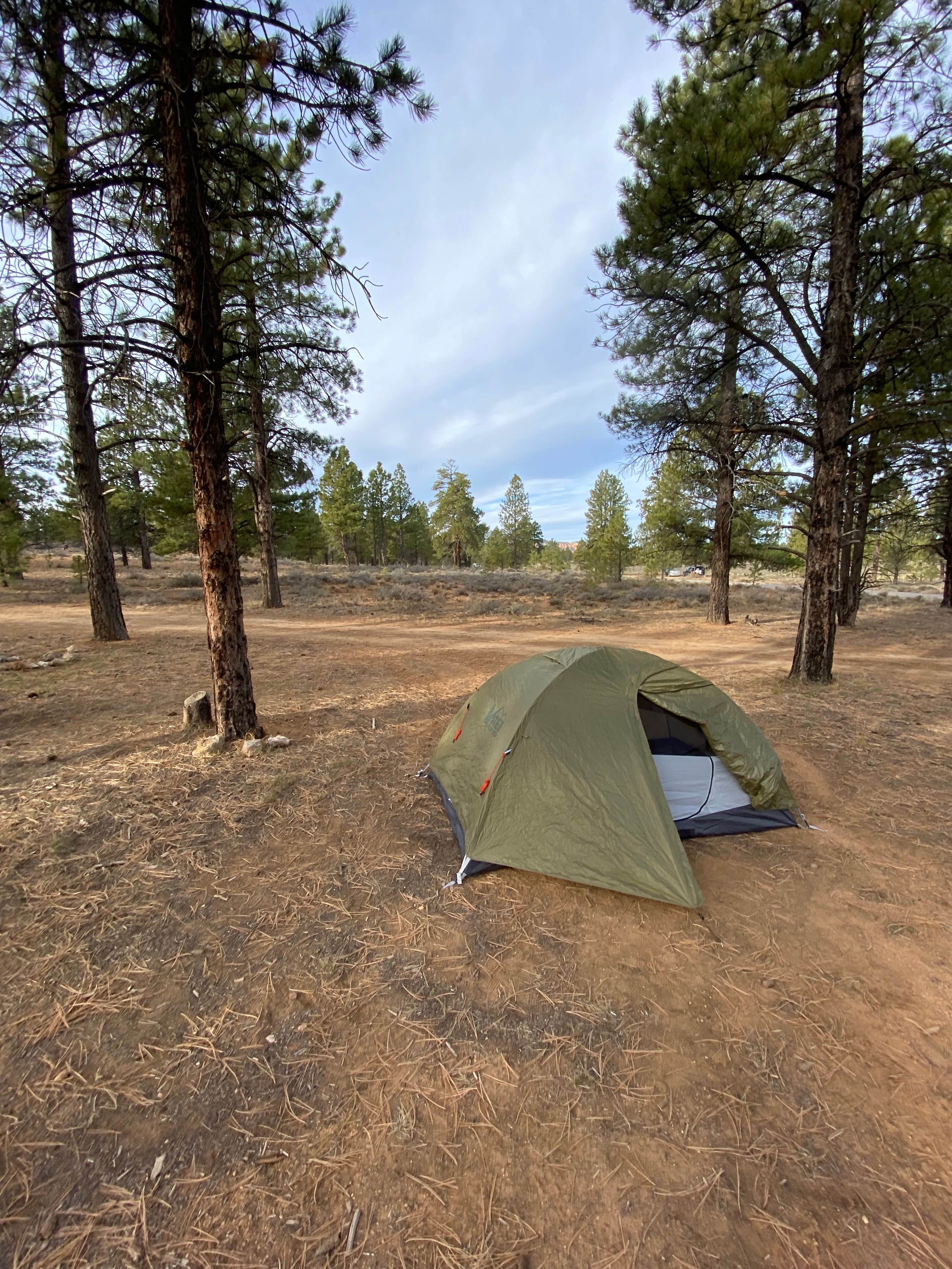 jacob's photo of a dispersed camping area at FR3623 Dispersed near Beaver, UT