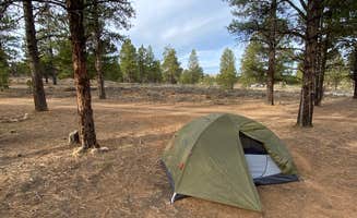 jacob's photo of a dispersed camping area at FR3623 Dispersed near Dixie National Forest