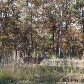 Review photo of Branch Pond — James River State Park by Jasmin S., November 9, 2021