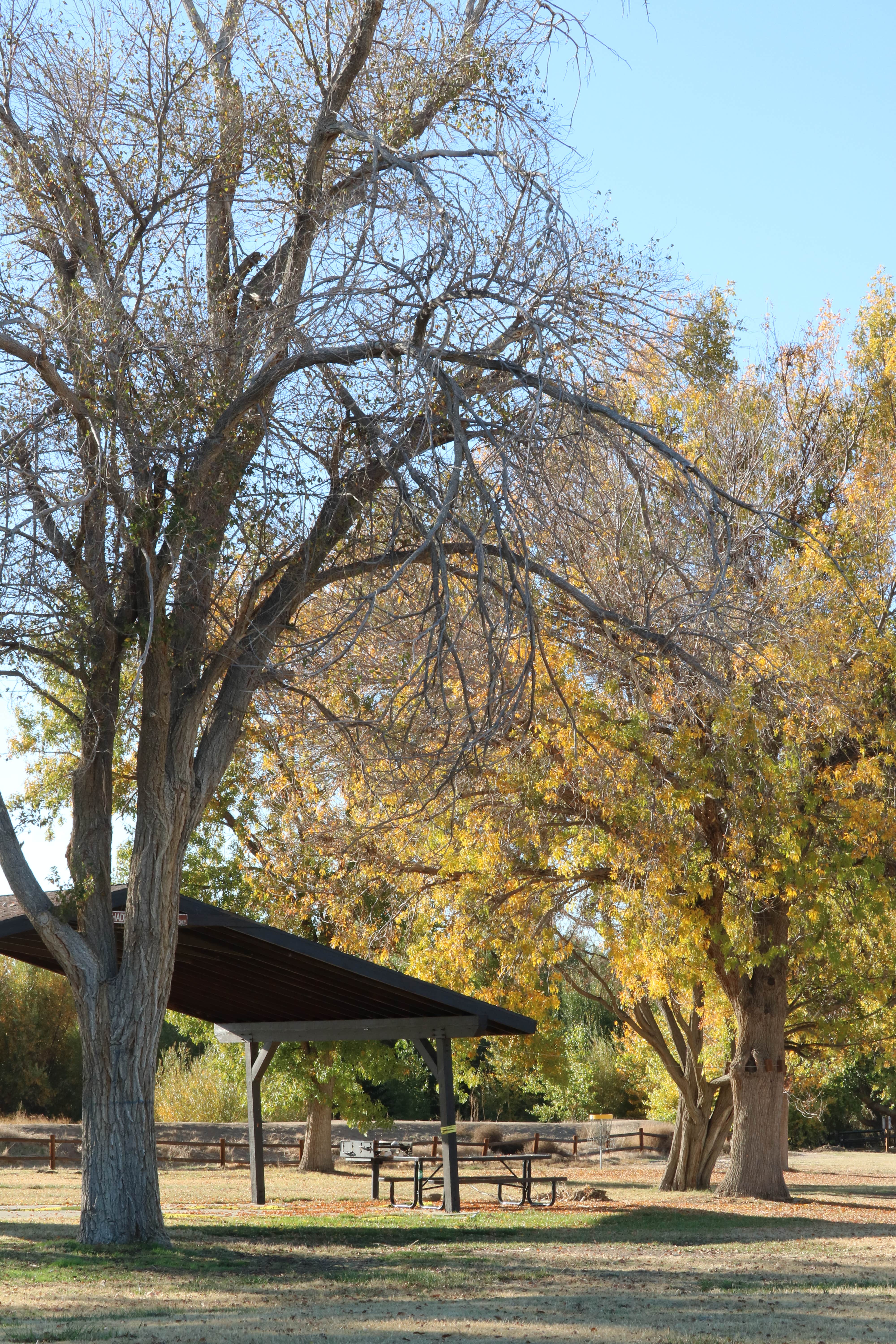 Camper-submitted photo at Mojave Narrows Regional Park near Helendale, CA
