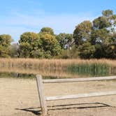 Review photo of Mojave Narrows Regional Park - CLOSED TIL FURTHER NOTICE by Bryan , November 9, 2021