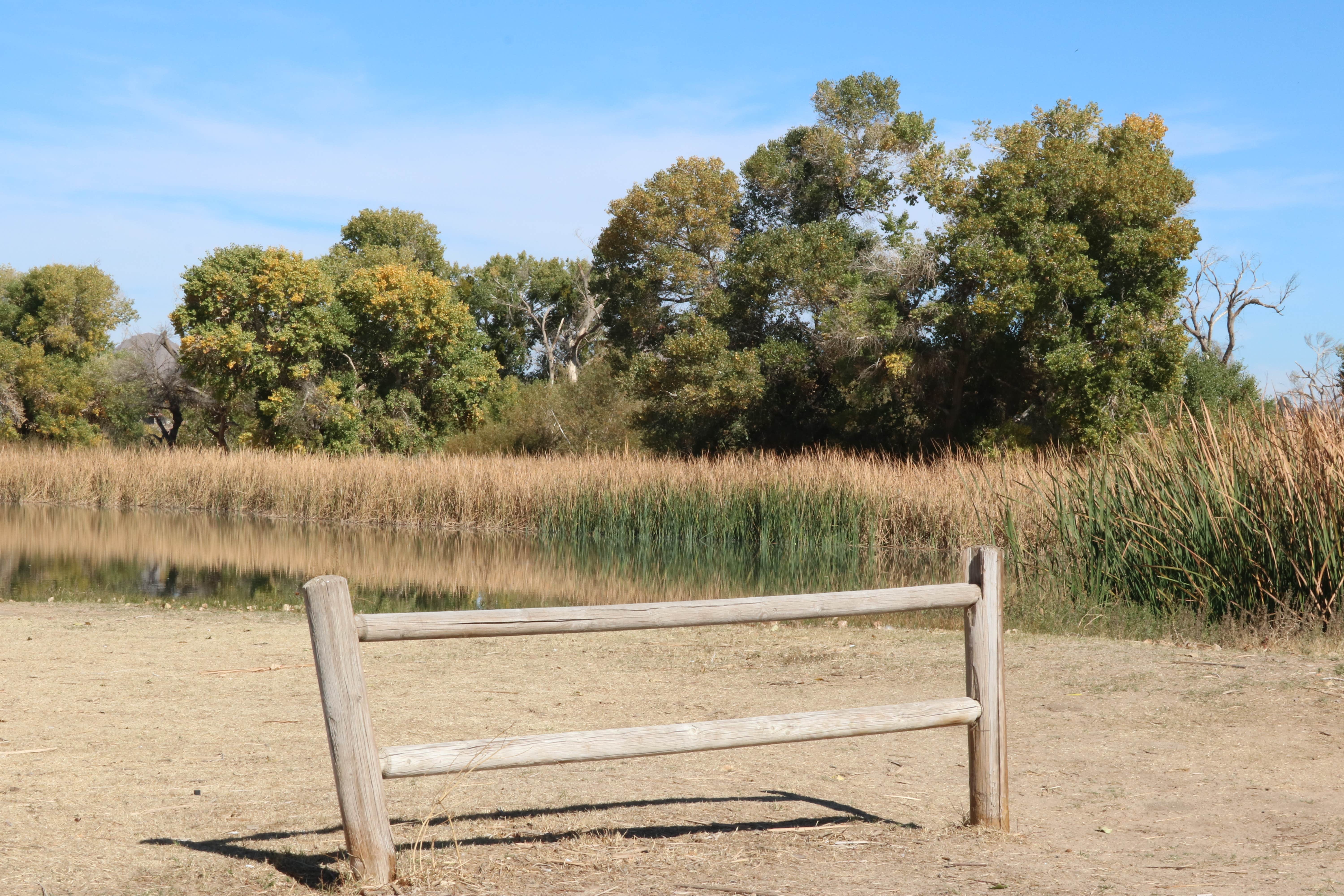 Camper submitted image from Mojave Narrows Regional Park - CLOSED TIL FURTHER NOTICE - 3