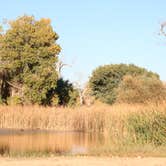 Review photo of Mojave Narrows Regional Park - CLOSED TIL FURTHER NOTICE by Bryan , November 9, 2021