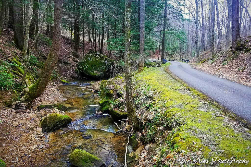 Camper-submitted photo at Kanawha State Forest in West Virginia