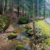 Review photo of Kanawha State Forest by Kaitlin T., July 7, 2018