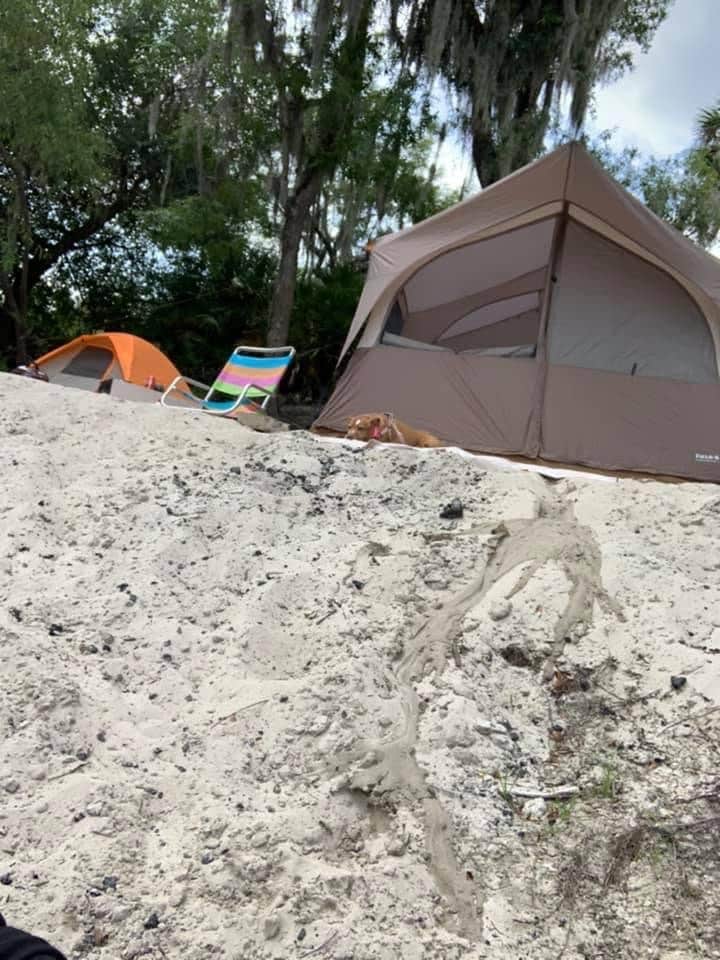 Erika R.'s photo at Peace River Campground near Ona, FL