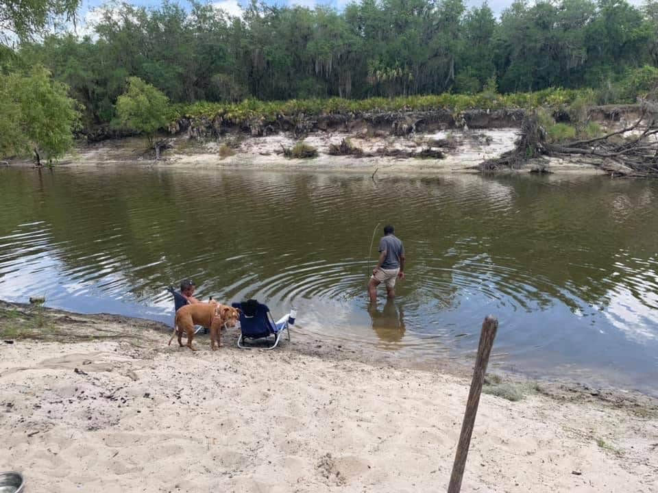 Erika R.'s photo of camping with a horse at Peace River Campground near Riverview, FL