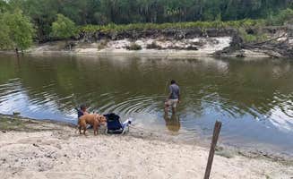 Erika R.'s photo of camping with a horse at Peace River Campground near Sarasota, FL