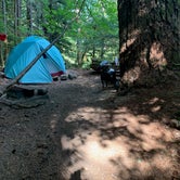 Review photo of Newhalem Creek Campground — Ross Lake National Recreation Area by Taylor T., November 9, 2021
