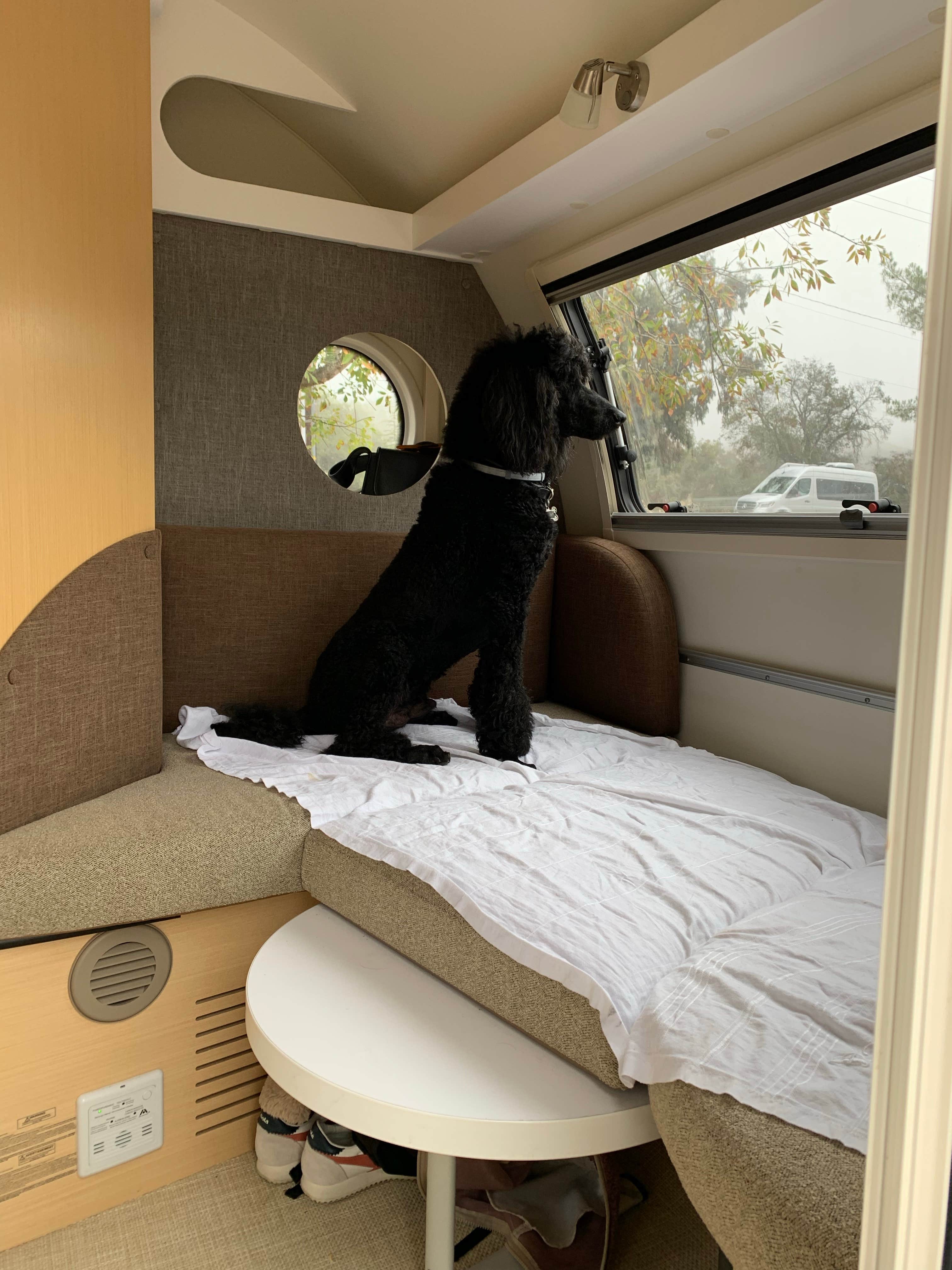alan P.'s photo of glamping accommodations at Lake Casitas Recreation Area near Malibu, CA