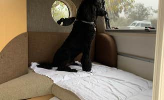 alan P.'s photo of glamping accommodations at Lake Casitas Recreation Area in California