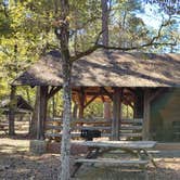Review photo of Barnwell State Park Campground by Neith F., November 9, 2021
