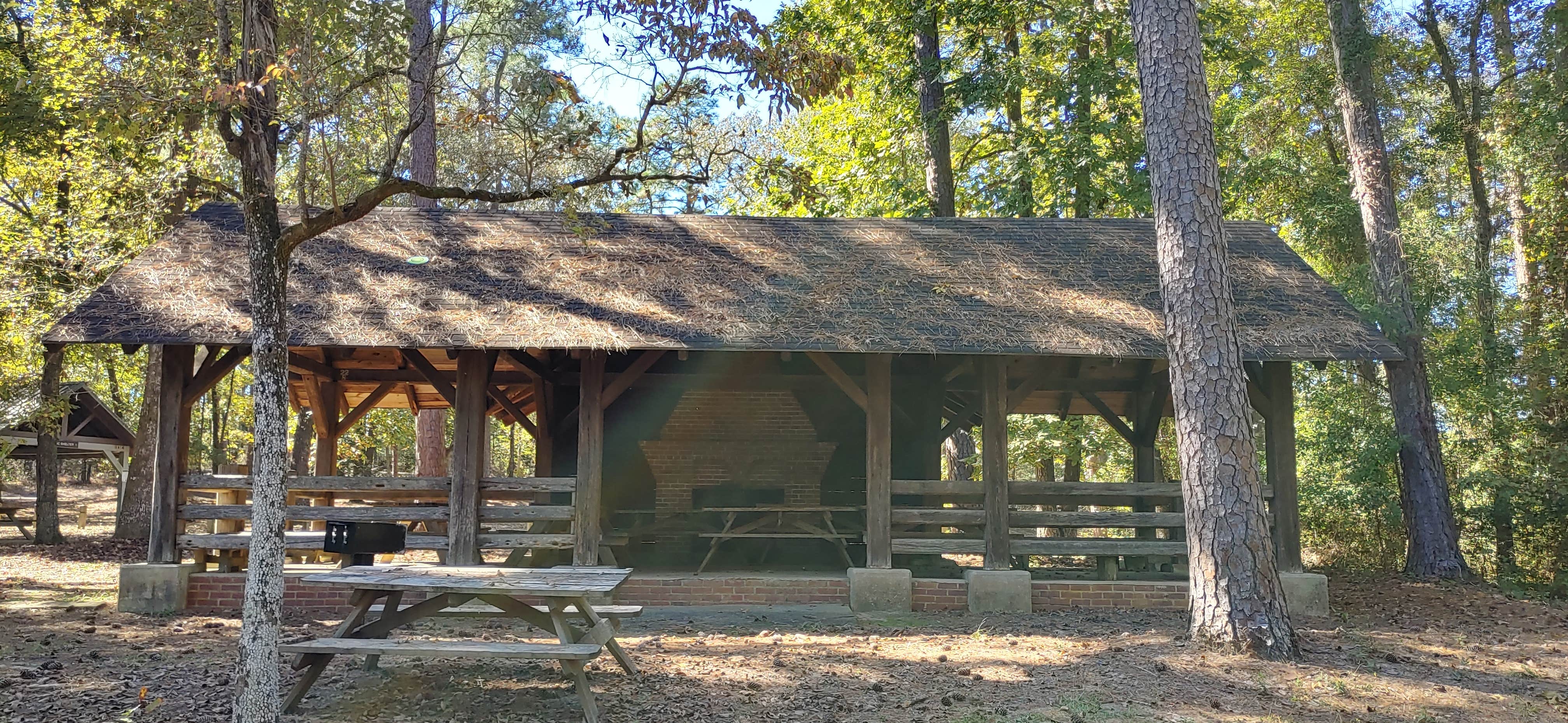 Camper submitted image from Barnwell State Park Campground - 5