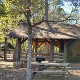 Review photo of Barnwell State Park by Neith F., November 9, 2021