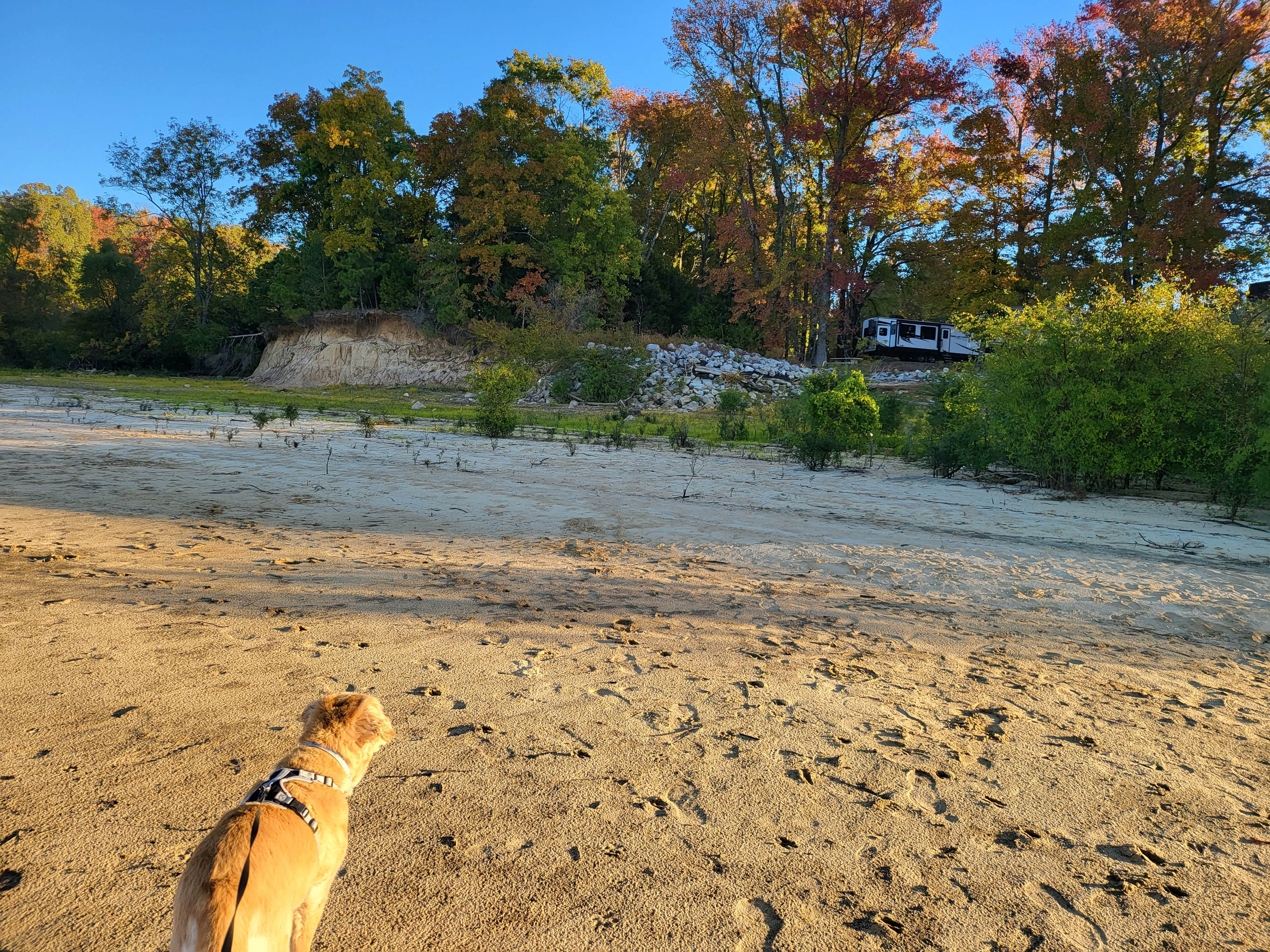 Daniel L.'s photo of camping with pets at Hernando Point near West Memphis, AR