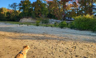 Daniel L.'s photo of camping with pets at Hernando Point near Coldwater, MS